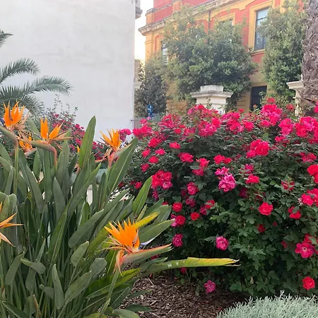 Don Alessandro סורבו