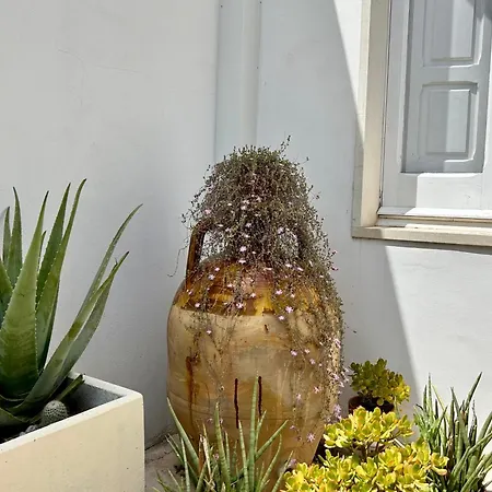 לינה וארוחת בוקר Don Alessandro סורבו