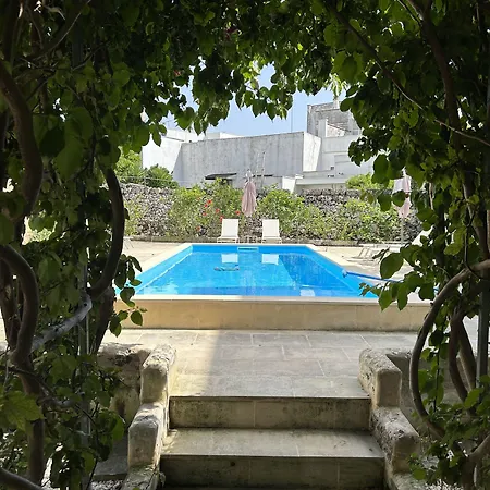 Don Alessandro סורבו