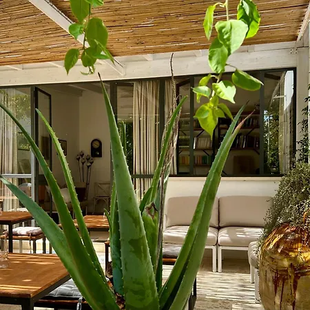 Don Alessandro Bed and breakfast Surbo