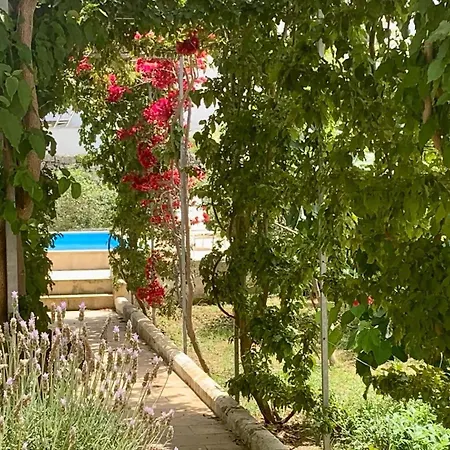 Don Alessandro Bed & Breakfast Surbo