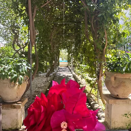 Don Alessandro Bed & Breakfast