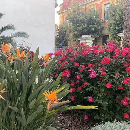 Don Alessandro Bed & Breakfast Surbo