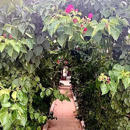 Bed & Breakfast Don Alessandro 4*