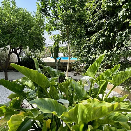 Bed & Breakfast Don Alessandro 4*