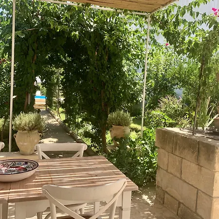 Don Alessandro Bed & Breakfast Surbo